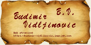 Budimir Vidljinović vizit kartica